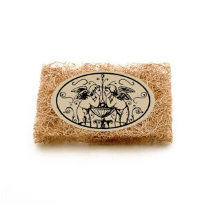 Sub-Stance Scrubbing Brik